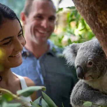 Family wildlife experience in Victoria